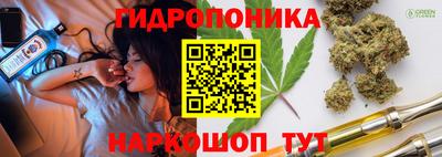 PSILOCYBIN Заволжье