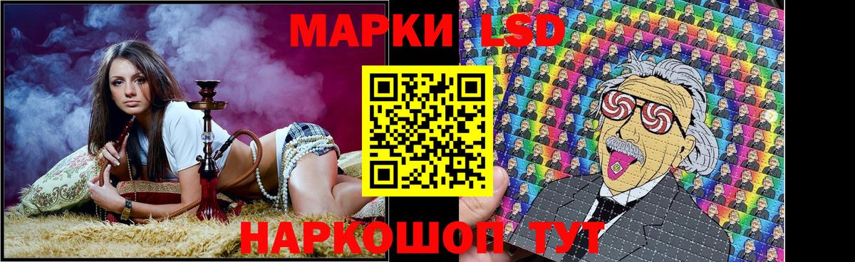 Наркотические марки 1,8мг  Наркотические марки  Наркотические марки 1,8мг  Курчалой  Вход с VPN 