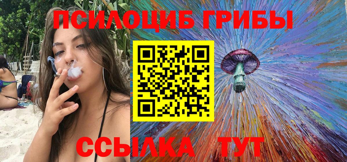 Курчалой  Галлюциногенные грибы Magic Shrooms  Вход с VPN 