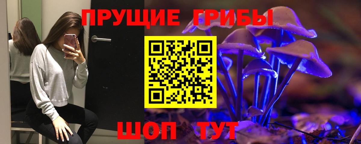 Псилоцибиновые грибы мухоморы Курчалой