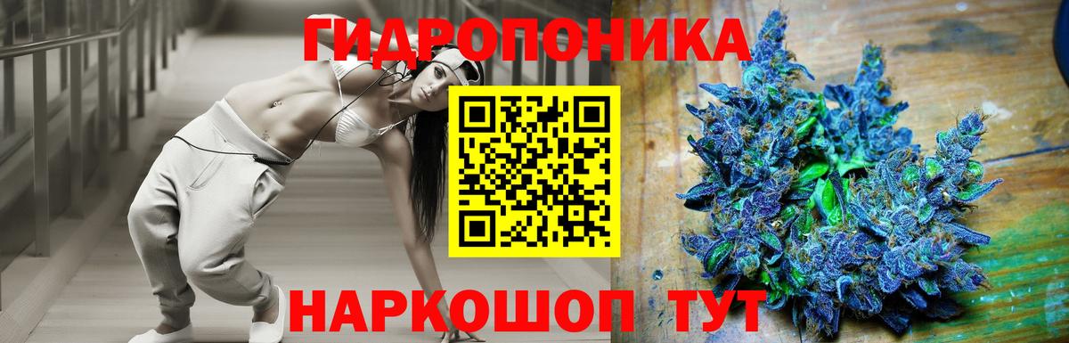 Галлюциногенные грибы Курчалой
